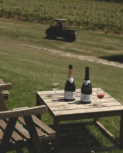 Summer, sunshine and a vineyard. A vineyard near the sea. What could be more wonderful? 📍@rathfinnyestate #englandlove #englishvineyard #uktravel #visitsussex Vineyard Vacation, Summer Sunshine, June 17, Instagram Summer, Uk Travel, Travel Blogger, The Sea, Mood Board, England