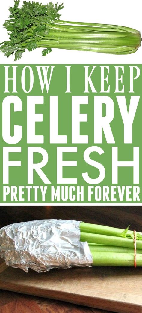 How to Keep Celery Fresh - The Creek Line House How To Store Celery, Veggie Pot Pie, Cream Of Celery, Fruit And Vegetable Storage, Cream Of Celery Soup, Brown Spots Removal, Vegetable Storage, 140 Pounds, Proper Nutrition