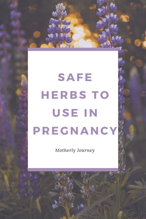 Best Herbs For Fertility, Herbs Safe For Pregnancy, Herbs For Pregnant Women, Pregnancy Witchcraft, Witchy Pregnancy, Herbs For Pregnancy, Crystals For Pregnancy, Spiritual Pregnancy, Pregnancy Herbs