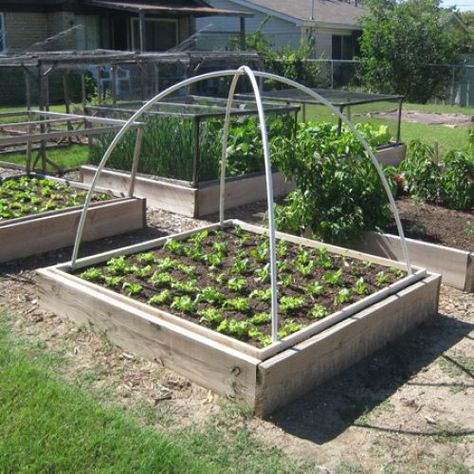 Vegetable Garden Beds, Garden Shade, Garden Boxes Diy, Raised Vegetable Gardens, Diy Garden Bed, Jardim Diy, Diy Raised Garden, Raised Garden Beds Diy, Greenhouse Plans