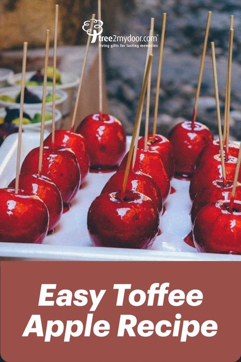 Taffy Apples Recipe, Toffee Apple Recipe Easy, Mini Toffee Apples, Toffie Appel Resep, Toffee Apple Recipe, Bazaar Sweets Ideas, Homemade Candied Apples, Toffy Apples, Candied Apples Recipe Easy