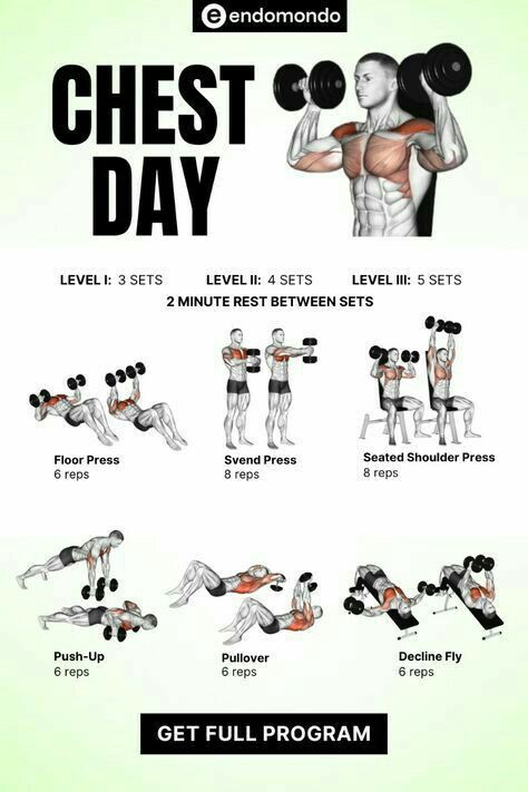 Chest Workout Men Dumbell, Lower Chest Workout At Home, Chest And Leg Workout, Dumbell Flys Chest Exercises, Chest Workout Dumbbell Men, Chest Workouts For Men Dumbell, Gym Workout Chart For Men, Pectoral Exercises Men, Men’s Chest Workout