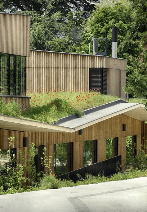 School complex in Rillieux-la-Pape / Tectoniques Architects, Green Roof, CLT, Wood Siding Living Roofs, Eco Architecture, Wooden Buildings, Green Architecture, Rooftop Garden, Roof Garden, Sustainable Architecture, Roof Design, Green Roof