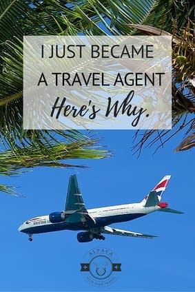 Best Travel Agency To Work For, Quest Board, Travel Agent Career, Travel Consultant, Become A Travel Agent, Hawaiian Travel, Travel Agencies, Online Travel Agency, Travel Advisor