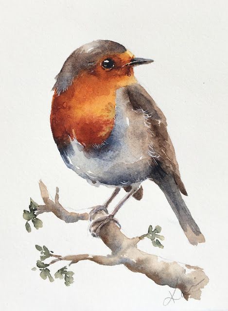 Wednesday Watercolor, Bird Drawing Ideas, Bird Drawing Easy, Watercolor Robin, Drawing Easy Pencil, Simple Bird Drawing, Shading Pencil, Robin Drawing, Bird Watercolor Art