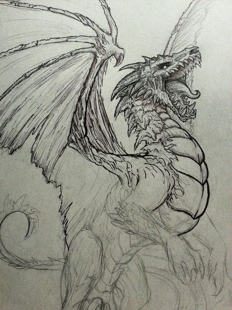 Undead Dragon Sketch by CrystalSully Undead Dragon, Výtvarné Reference, Dragon Sketch, Dragon Sculpture, Dragon Tattoo Designs, Dragon Pictures, Desenho Tattoo, Dragon Artwork, Arte Sketchbook