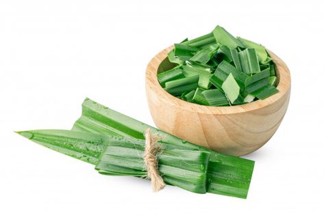 Pandan Leaf Illustration, Ancient Furniture, Pandan Leaf, Pandan Chiffon Cake, Daun Pandan, Loaf Cakes, Flavored Rice, Leaf Bowl, Coconut Drinks