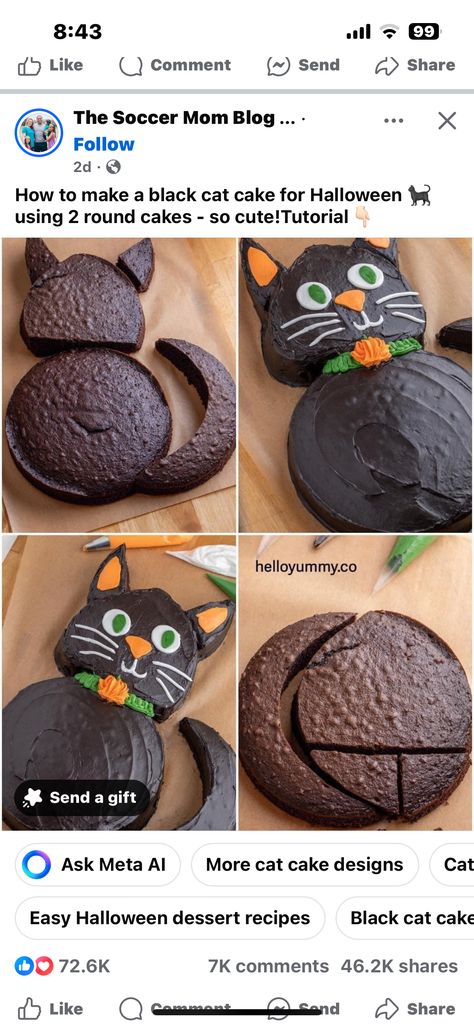 Halloween Cat Cake, Black Cat Cake, Halloween Dessert Recipes Easy, Cat Themed Parties, Walk Idea, Halloween Food Desserts, Halloween Craft Projects, Green Cake, Diy Cake Decorating