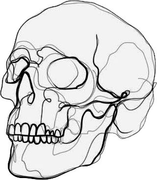 Skull Outline Drawing Simple, One Line Skull Drawing, Skull Line Drawing Simple, Skull Line Tattoo, Small Skull Drawing, Minimal Skull Tattoo, Minimalist Skull Tattoo, Skull Outline Drawing, Skull Line Drawing