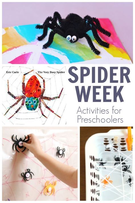 Great week of fun, simple and easy preschool activities for Spider Week to do at home with your preschooler and older toddler.Featuring The Very Busy Spider by Eric Carle from the Virtual Book Club for Kids.Don't forget to Join! So you can get other weekly activities straight to your inbox.#spiderweek #preschoolactivities #vbcforkids The Very Busy Spider Preschool, Spider Lesson Plans For Preschool, Spider Theme Preschool, Spider Crafts Preschool, Spider Math Activities, Easy Preschool Activities, Spider Unit Study, Spider Lessons, Spiders Preschool