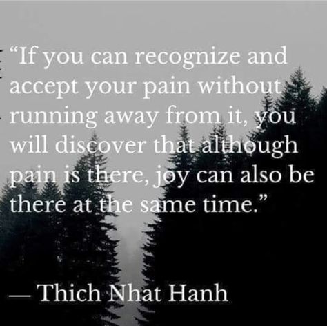 Thich Nhat Hanh Suffering, Zen Buddhism Quotes, Thich Nhat Hanh Quotes Mindfulness, Thich Nhat Hanh Quotes, Flowing River, Buddhist Wisdom, Loving Kindness Meditation, Zen Quotes, Buddhist Philosophy