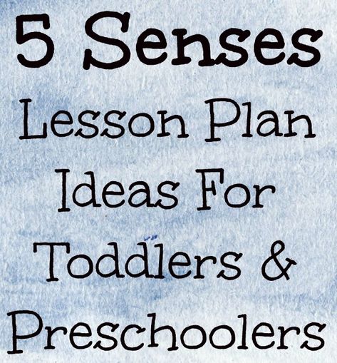 Lesson Plan Ideas For Toddlers, Lesson Plan For Toddlers, 5 Senses Preschool, Five Senses Preschool, 5 Senses Activities, Lesson Plan Ideas, Senses Preschool, My Five Senses, Toddler Lessons