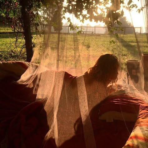 Under A Tree, The Grass, A Tree, The Sun, A Woman, Sun, Bed