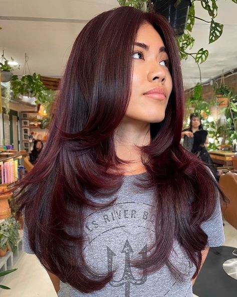 Dark Maroon Hair, Burgundy Hair Colors, Burgundy Hair With Highlights, Brown Strands, Deep Burgundy Hair, Pelo Color Vino, Dark Burgundy Hair, Burgundy Hair Dye, Black Cherry Hair