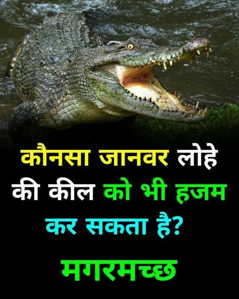 New Amazing Facts In Hindi, Fact Hindi, Upsc Study, Fun Facts About Earth, Science Facts Mind Blown, About Study, General Studies, Youtube Facts, Facts In Hindi