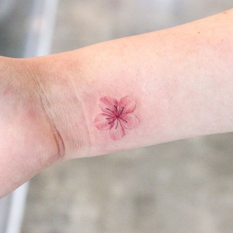 Small Tattoo Cherry Blossom, Pink Woman Art, Cherry Blossom Tattoo Pink, Sakura Minimalist Tattoo, Sakura Tatoos Small, Cheery Blossoms Tattoo Small, Cherry Blossom Small Tattoo, Single Cherry Blossom Tattoo, Sakura Tattoo Small