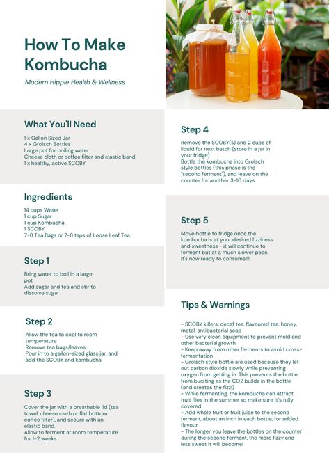 How to Make Kombucha (Easy Step-by-Step Recipe) — Modern Hippie Inc. How To Make Kombucha, Kombucha Scoby Recipes, Make Kombucha, Kombucha Benefits, Kombucha Scoby, Kombucha Recipe, Homemade Kombucha, Modern Hippie, Recipes For Beginners