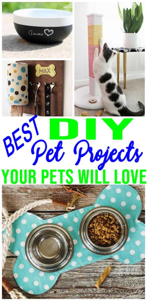 Pet Things To Make And Sell, Pet Crafts To Make And Sell, Dog Crafts To Sell Easy Diy, Crafts For Pets To Sell, Dog Stuff To Make And Sell, Diy Dog Toys To Sell, Pet Projects Diy, Diy Pet Crafts To Sell, Pet Crafts To Sell