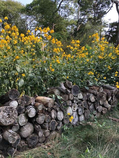 Habitat Piles: How to Turn Garden Debris Into Shelter and Sculpture Log Piles Garden, Stumpery Garden Ideas, Abundant Garden, Small Mammals, Garden Border, Outdoor Shelters, Gothic Garden, Wildlife Gardening, School Garden