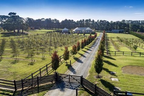 Sold 2 Wonderland Avenue, Tuerong VIC 3915 on 16 Jun 2018 - 2014377097 | Domain Harkaway Homes, Sliding Gate Design, Heavenly Christmas, Driveway Entrance Landscaping, Small Barn House, Farm Entrance, Gate Wall Design, Tree Lined Driveway, Driveway Entrance