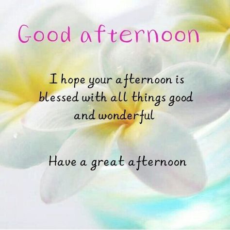 Good Afternoon Blessings Beautiful, Good Afternoon Quotes Good Afternoon Quotes Inspirational, Afternoon Quotes Inspiration, Saturday Afternoon Quotes, Afternoon Blessings Quotes, Good Afternoon Quotes Inspirational, Good Afternoon Blessings, Good Afternoon Messages, Good Morning Quotes Monday