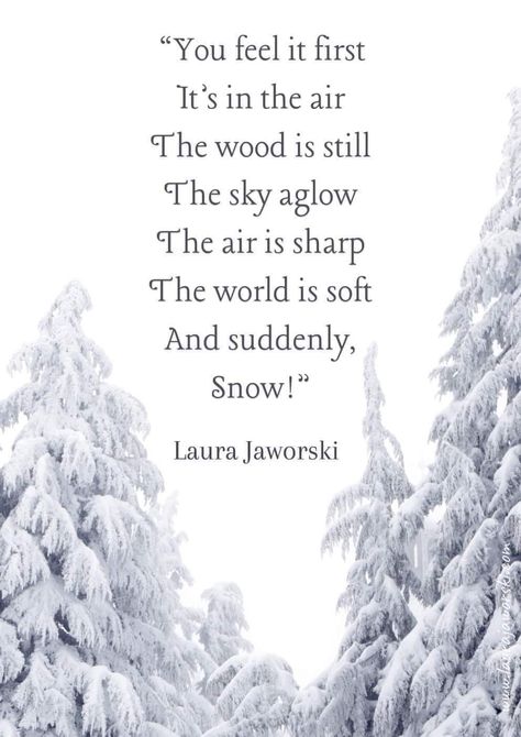 Outside Quotes, Laura Jaworski, Snowy Outside, Winter Poems, Fall Quotes, Nature Words, I Love Snow, Winter Quotes, Love Winter