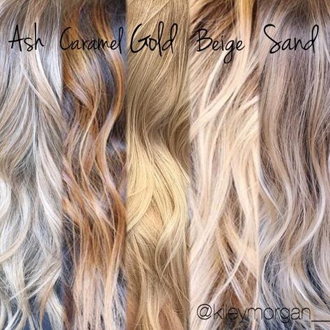 Different tones of blonde. Tips for clients when your a hair stylist. Extra Light Beige Blonde, Different Tones Of Blonde, Tones Of Blonde, Shades Of Blonde Hair, Winter Blonde, Blonde Tips, 2023 Hair, Super Hair, Shades Of Blonde