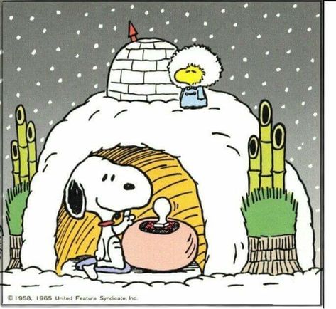 como eu me sinto no frio Snoopy Cafe, Snoopy Winter, Snoopy Und Woodstock, Snoopy Museum, A Charlie Brown Christmas, Woodstock Snoopy, Snoopy Cartoon, Camp Snoopy, Happy Week End