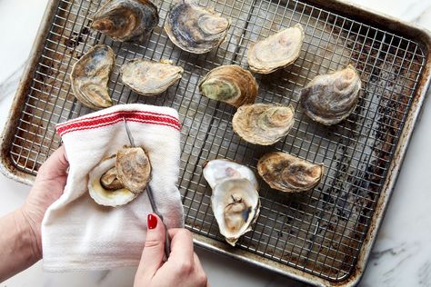 How to Open Oysters in the Oven | Epicurious Roasted Oysters In Oven, Oysters In The Oven, Oyster Rice, Oysters At Home, Oyster Stuffing, Seafood Extravaganza, Steamed Oysters, Oysters On The Half Shell, Eating Oysters