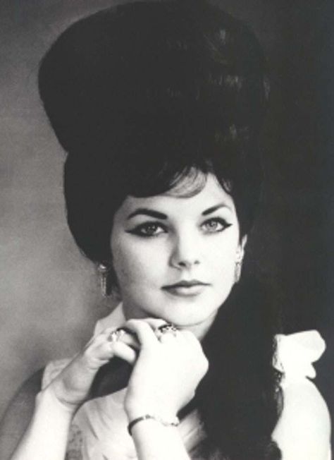 13 Pictures of Young Priscilla Presley Young Priscilla Presley, Beehive Hairstyles, Freddy Rodriguez, Elvis Presley Priscilla, Jane And Michael, Beehive Hair, Joseph Jackson, Immaculate Heart, Elvis And Priscilla