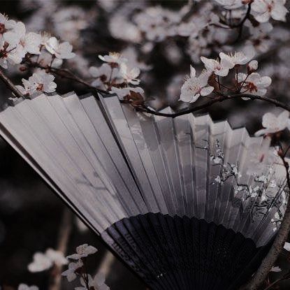 Black Snow Aesthetic, Nie Huaisang Aesthetic, Japanese Fan Aesthetic, Japan Icons Aesthetic, Wanderer Aesthetic Genshin, Svsss Aesthetic, Fan Aesthetic, Kalluto Zoldyck, Ancient Chinese Characters