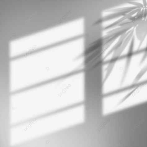 Sun Shadow Window, Light From Window, Shadow Window, Wall Png, Ipad Picture, Photo Studio Design, Painted Sun, Light And Shadow Photography, Lens Flare Effect