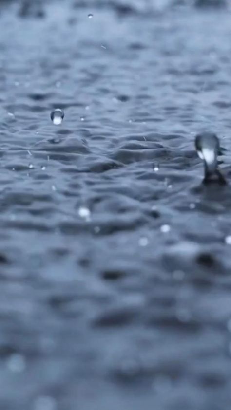 Live Rain Wallpaper Hd, Rain Product Photography, മഴ Videos, Rain Fall Video, Rain Mood Video, Night Rain Video, Aesthetic Rain Video, Rainy Day Video, Dark Night Rain Video