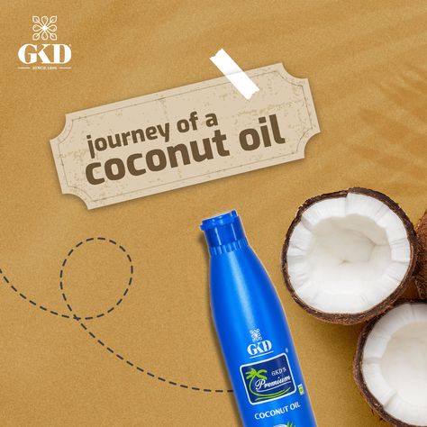 See the journey of how a bottle of 100% pure GKD Premium Coconut Oil comes to be! Available on all major e-commerce platforms and stores near you. . . . . . #GKDPremium #PureCoconutOil #CoconutHairOil #ShinyHair #PowerofCoconut #Shine #Coconut #healthy #mineraloil #hairoilsforgrowth #hairoiltreatment #coconutoilbenefits #haircare #haircareproducts #haircaretips #haircarecommunity #antiaginghaircare Coconut Branding, Product Photoshoot, Pure Coconut Oil, Benefits Of Coconut Oil, Beauty Gadgets, Coconut Oil Hair, Dope Cartoon Art, Amazon Beauty Products, Coconut Lime