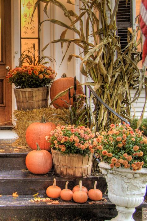 Orange Chrysanthemums, pumpkins, a bale of hay and a dried cornstalk on the front porch steps Mums Flowers Front Porch Fall, Mums Aesthetic, Mums Front Porch Fall Displays, Fall Urns, Winter Porch Pots, Pumpkin Porch, Outdoor Planter Ideas, Fall Porches, Pretty Porches