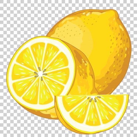 Lemon isolated on transparent Premium Ve... | Premium Vector #Freepik #vector #food #leaf #fruit #health Lemon Drawing, Fruit Art Drawings, Lemon Set, Iced Green Tea, Lemon Painting, Lemon Art, Refreshing Summer Drinks, Lemon Patterns, Fruit Illustration