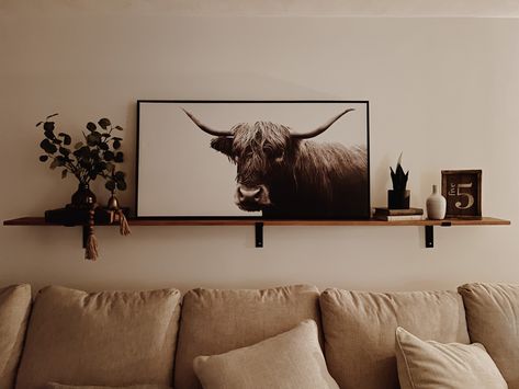 Living Room With Cow Picture, Highlander Cow Living Room, Over The Couch Shelf Decor Ideas, Cow Canvas Decor Living Rooms, Highland Cow Living Room Ideas, Highland Cow Print Living Room, Highland Cow Picture Living Room, Buffalo Pictures Living Rooms, Longhorn Home Decor