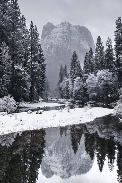 Nature River, Snow Forest, Snowy Forest, Winter Nature, Trees, Forest, Lake, Water, Photography