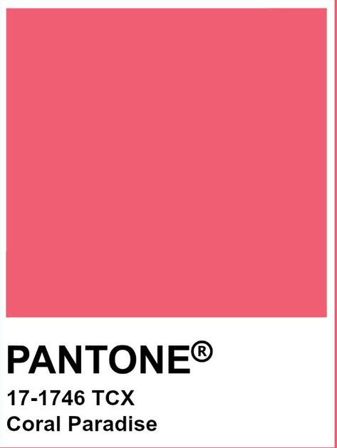 Color Coral, Pantone Color, Hot Pink, Paradise, Coral, Pink, Color