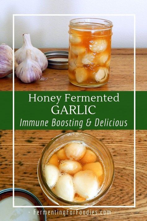 Honey Fermented Garlic, Fermented Garlic Honey, Eating Raw Garlic, Fermented Garlic, Fermented Honey, Garlic Honey, Fermented Veggies, Fermentation Recipes, Raw Garlic