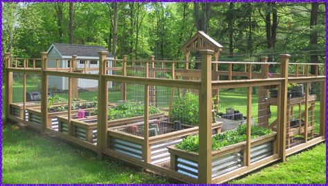 Enclosed Gardens Ideas Backyard, Fenced Vegetable Garden Design, Fenced Garden With Raised Beds, Vegetable Garden Fence Ideas, Enclosed Garden Structures, Animal Fencing, Garden Enclosure Ideas, Backyard Raised Garden, Fenced Garden