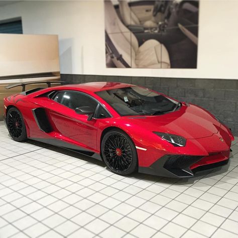 Lamborghini Aventador Super Veloce coupe painted in Rosso Bia  Photo taken by: @alan_bale_lamborghini on Instagram Lamborghini Pics, Lamborghini Sv, Tmax Yamaha, Carros Lamborghini, Gtr Car, Fast Sports Cars, High End Cars, Lamborghini Cars, Nitric Oxide