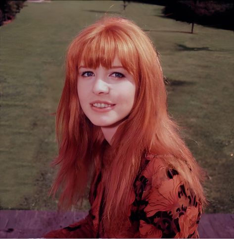 Shrimptons, Boyds, Asher, Faithfull And More Summer Nights, Beatles Girl, Jane Asher, Lily Evans, Summer Night, Dream Hair, Celebrity Crush, One Pic, Photo Sessions