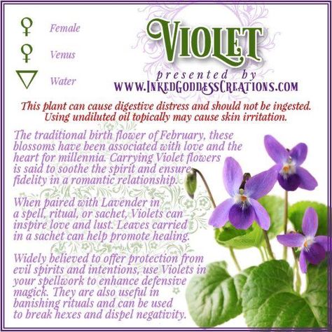 https://www.facebook.com/spellforthat/photos/pcb.725959181472797/725958954806153/?type=3 Violet Magical Properties, Flower Witchcraft, Magickal Herbs, Witch Herbs, Green Witchcraft, Magic Herbs, Magical Herbs, Flower Meanings, Herbal Magic