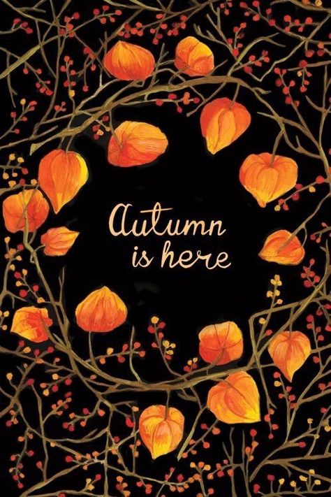 seasonalwonderment: Autumn 22 September, Orange Leaves, Have Inspiration, Fabulous Fall, Seasons Of The Year, Autumn Beauty, Fall Favorites, Autumn Aesthetic, Fall Wallpaper