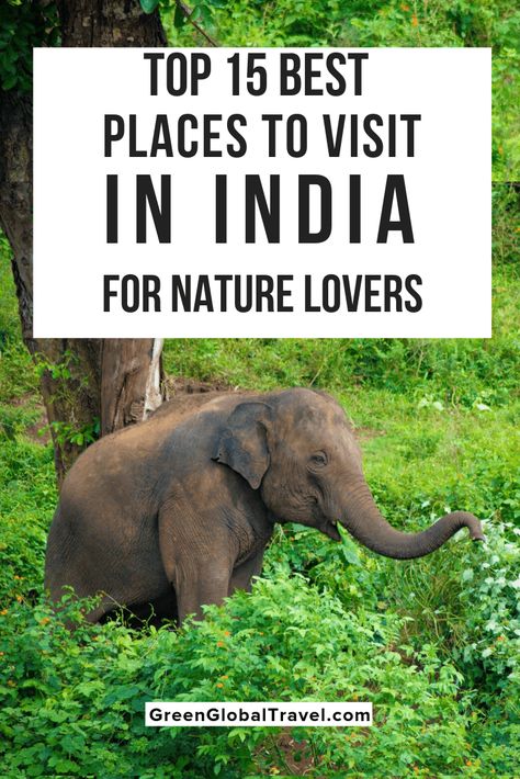 The 15 Best Places to Visit in India for Nature Lovers Adventure Travel India, Manipur India Travel, Places To Visit India, India Vacation Places To Visit, Best Place In India To Travel, Must Visit Places In India, Best Places To Travel In India, India Vacation, Places To Visit In India