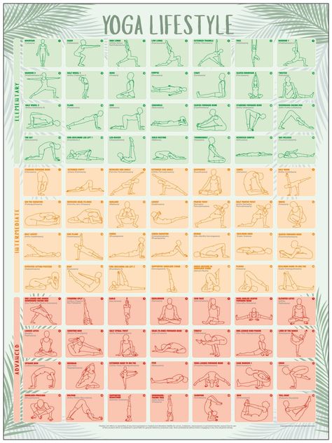 Yoga Positions Chart is designed to be informative and decorative illustrating 84 popular Yoga poses to suit all ages and ranges of ability from Novice to Expert - 28 popular poses on each level.  Yoga poses identified with both English and Traditional names. Elementary Level - Green Section Intermediate Level - Orange Section  Advanced Level - Red Section Chartex Yoga Chart provides a useful reference resource and instructional aid for Yoga establishments and instructors, Commercial and Home Gy Yoga Chart, Yoga Poses Chart, Increasing Flexibility, Popular Yoga Poses, Yoga Poses Names, Poses Yoga, Yoga Program, Yoga Poster, Yoga Positions