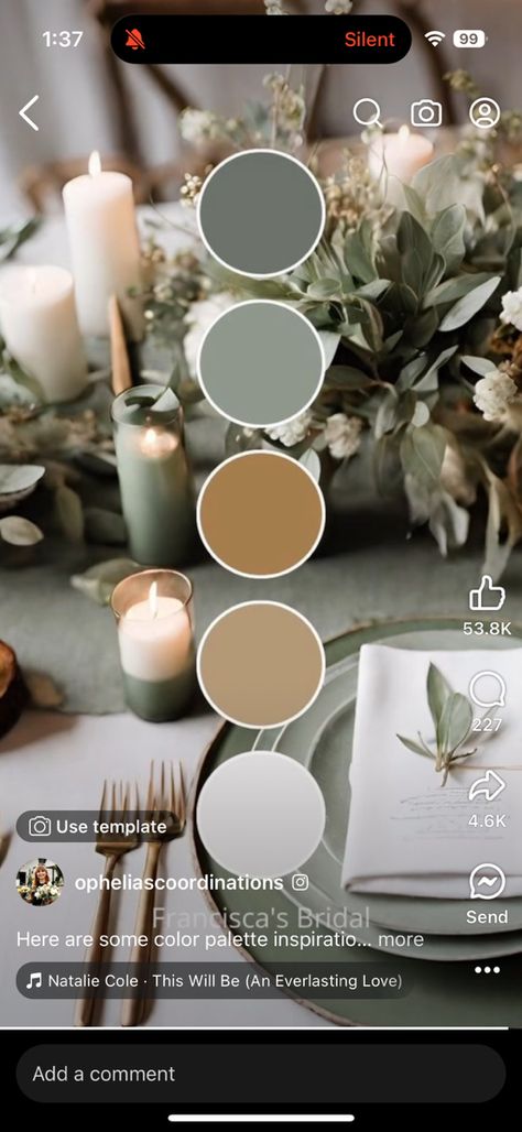 Olive Green And Taupe Wedding, Sage Green And Wood Wedding, Sage And Tan Wedding, Wedding Color Schemes Gold, Tan Wedding Colors, Green Brown Wedding, Champagne Color Palette, Brown Wedding Themes, Bubbles Wedding