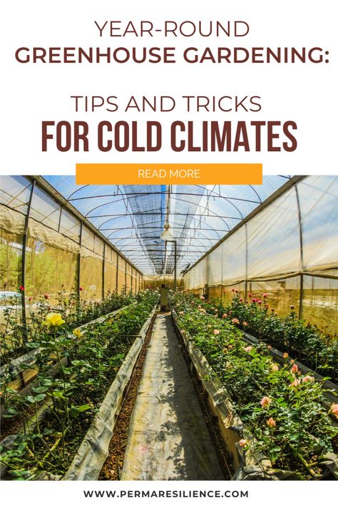 Greenhouses For Cold Climates, Greenhouse For Cold Climates, Year Round Greenhouse Canada, Greenhouse In Michigan, Cold Climate Greenhouse, Inground Greenhouse, Canadian Greenhouse, Starting A Greenhouse, Forest House Modern