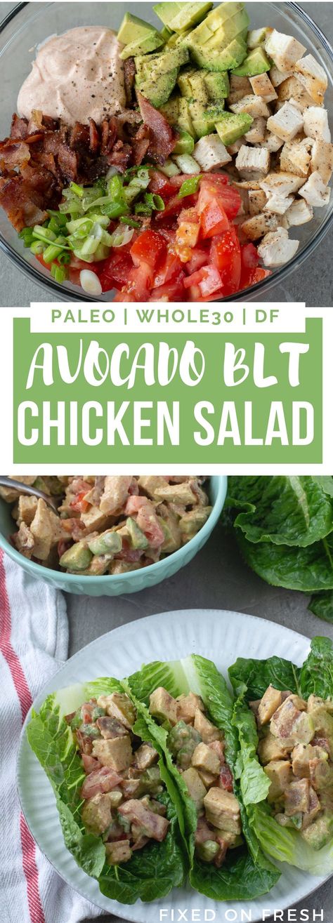 Avocado BLT Chicken Salad Wraps are an easy healthy lunch recipe. This salad is Whole30, Paleo, and Dairy Free! #paleorecipe Wraps Lunch, Blt Chicken Salad, Avocado Chicken Salad Wrap, Blt Chicken, No Heat Lunch, Salat Wraps, Avocado Blt, Easy Healthy Lunch Recipes, Chicken Salad Wrap